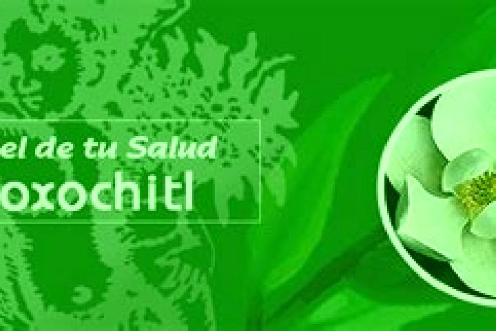 escort Yoloxochitl