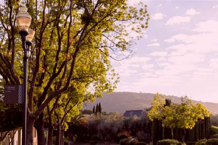 escort Yountville