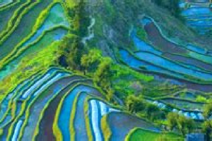 escort Yuanyang
