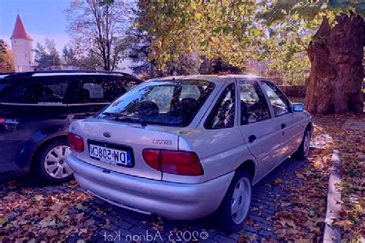 escort Zagnanado