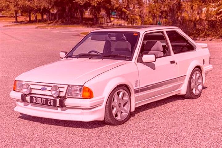 escort Zaldivia
