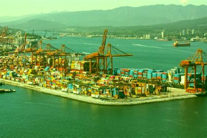escort Zaliznyy Port