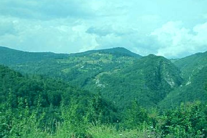 escort Zapadni Mojstir
