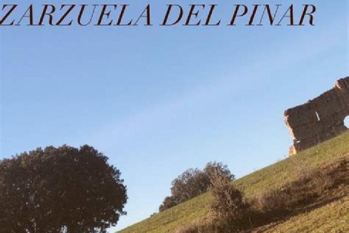 escort Zarzuela del Pinar
