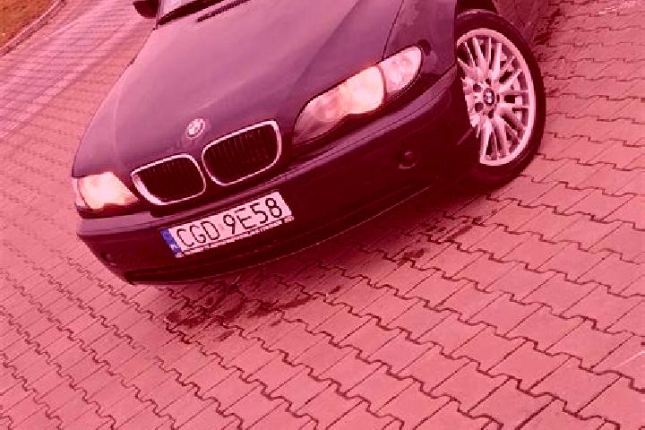 escort Zbojno