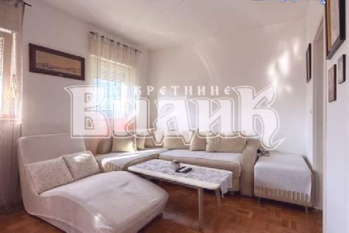 escort Zemun