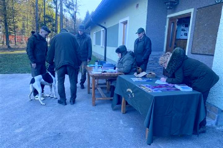 escort Zgornja Hajdina