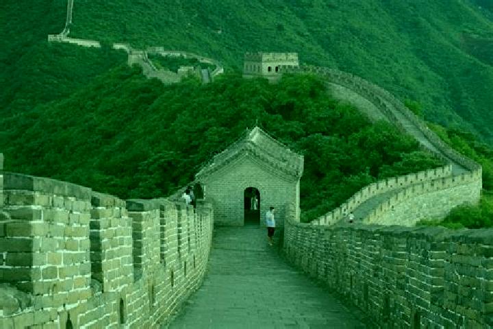 escort Zhangfang