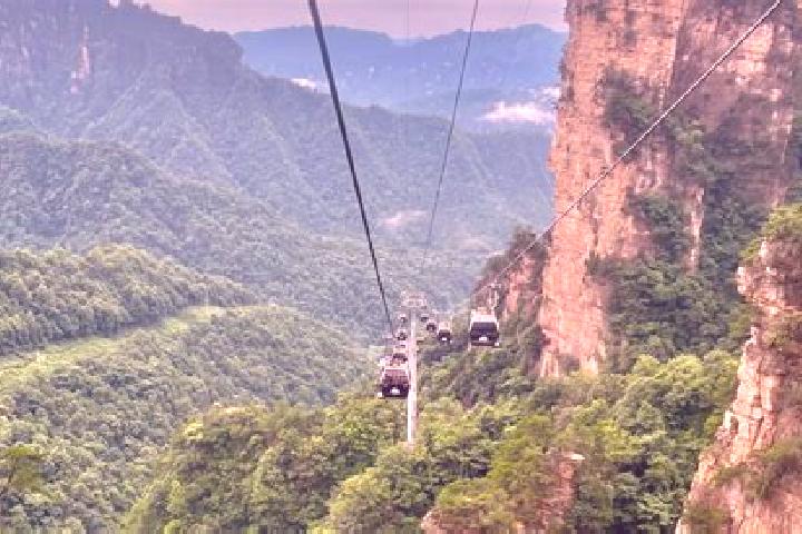 escort Zhangjia