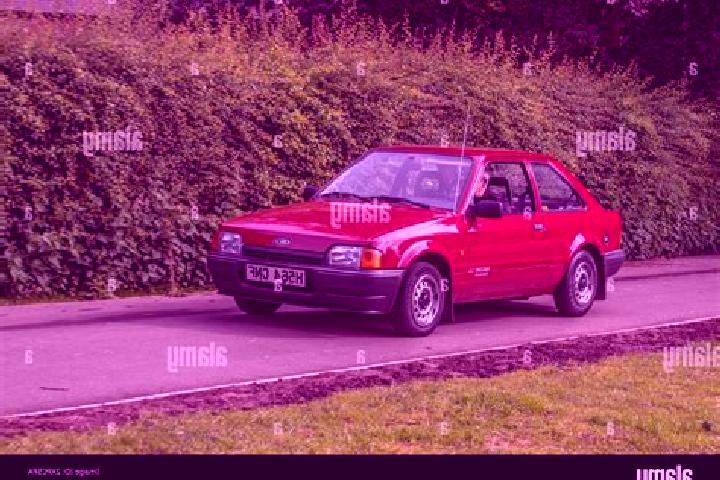 escort Zhaobu