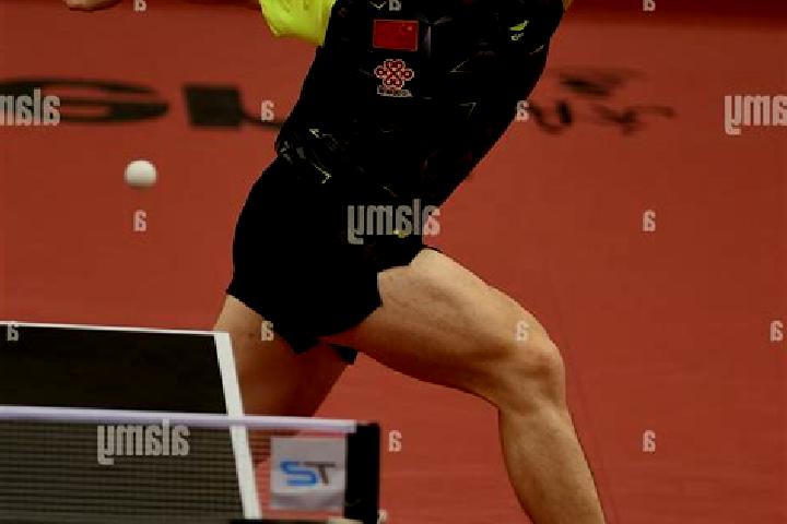 escort Zhendong