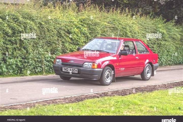 escort Zhukovsky