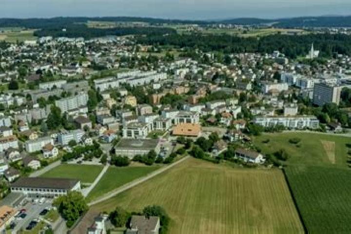 escort Zollikofen