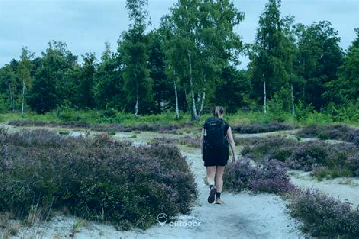 escort Zonhoven