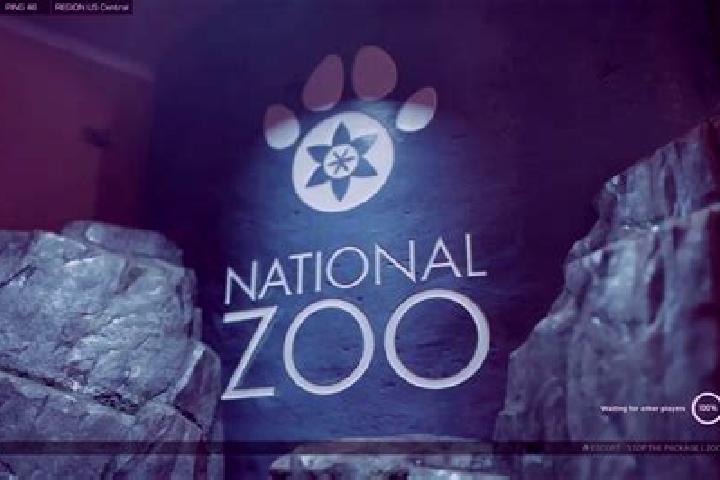 escort Zoo