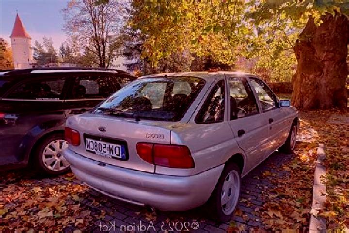 escort Zvecka