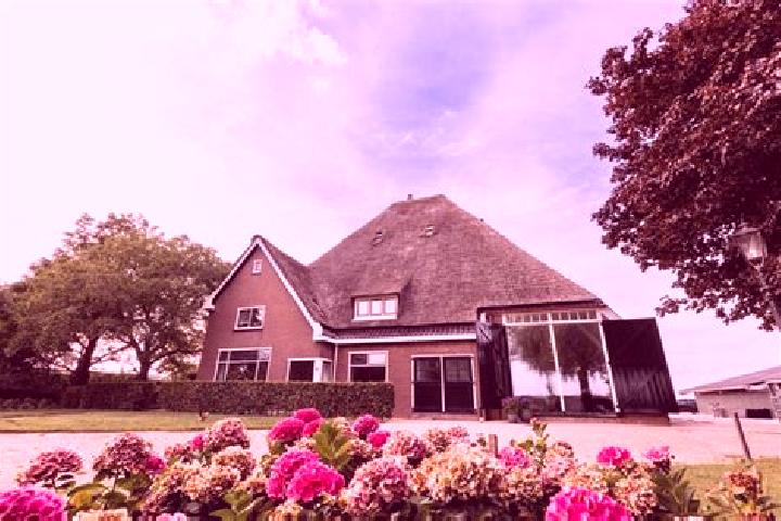 escort Zwaagdijk-Oost