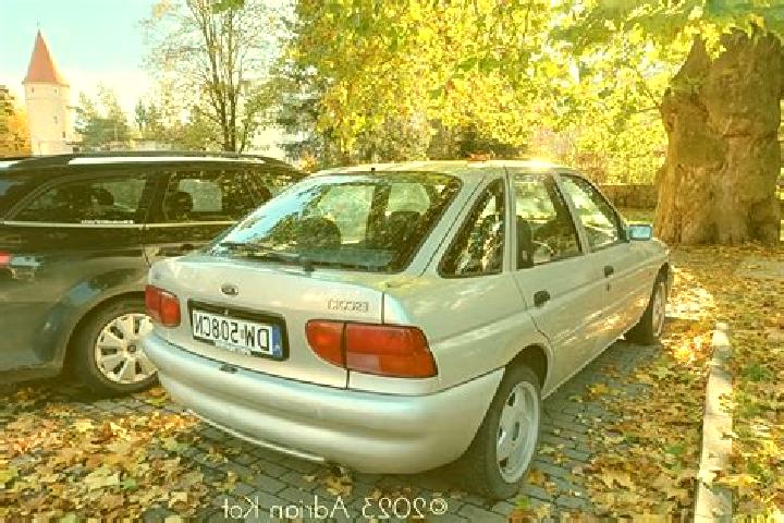 escort Zyablikovo