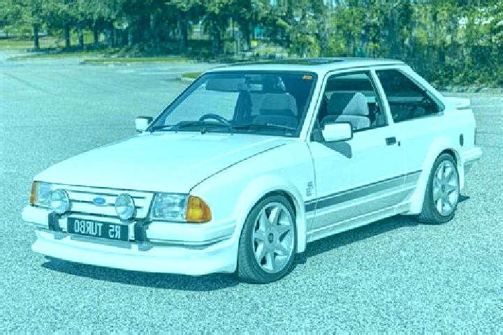 escort Zymne