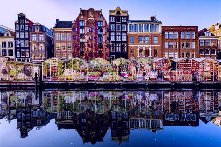 Escorts Abbenes, Netherlands — Local Companions