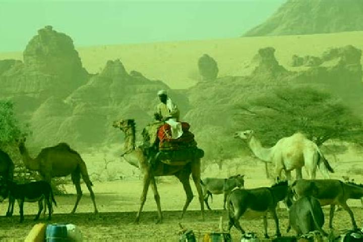 Escorts Abou Deia, Chad — Local Companions