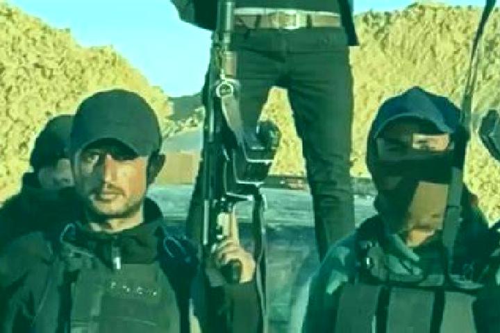 Escorts Abou el Hassan, Algeria — Local Companions