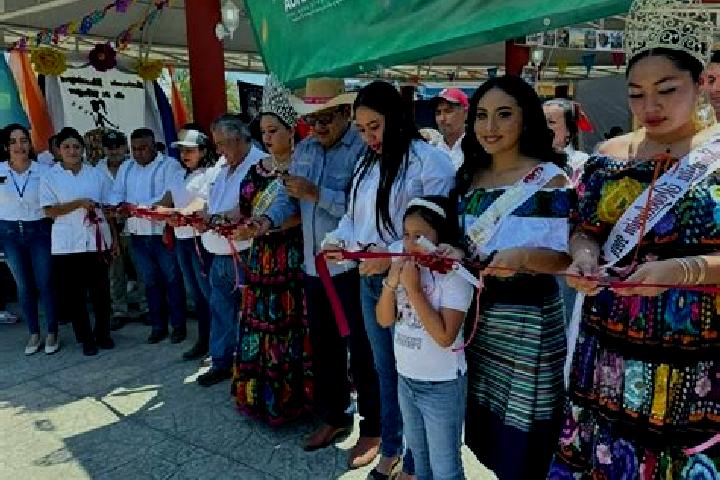 Escorts Acapetahua, Mexico — Local Companions