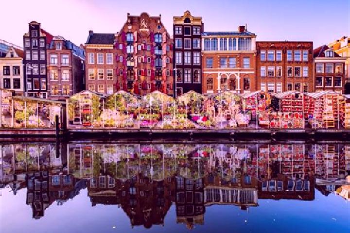 Escorts Achlum, Netherlands — Local Companions