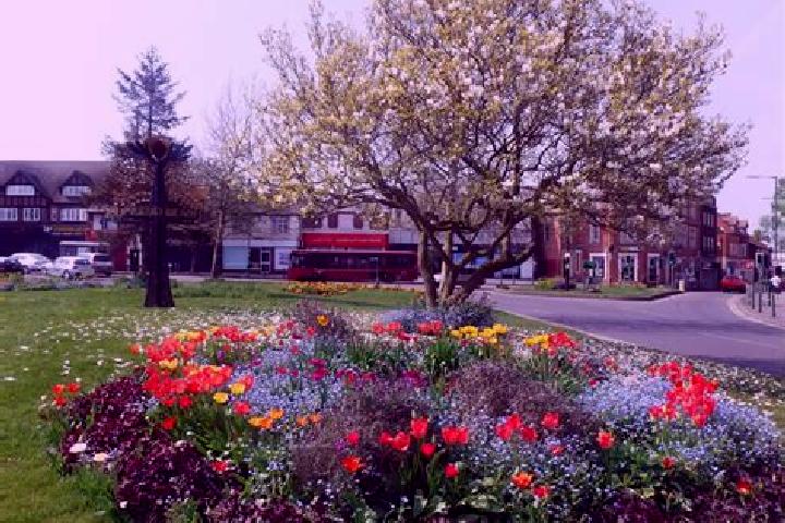 Escorts Acocks Green, United Kingdom — Local Companions