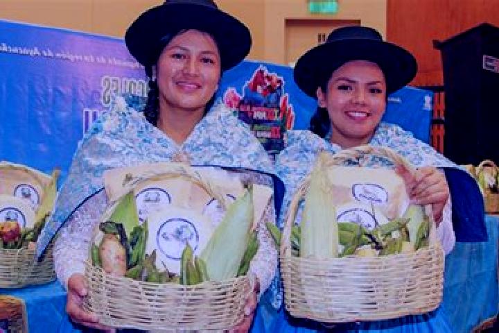 Escorts Acocro, Peru — Local Companions