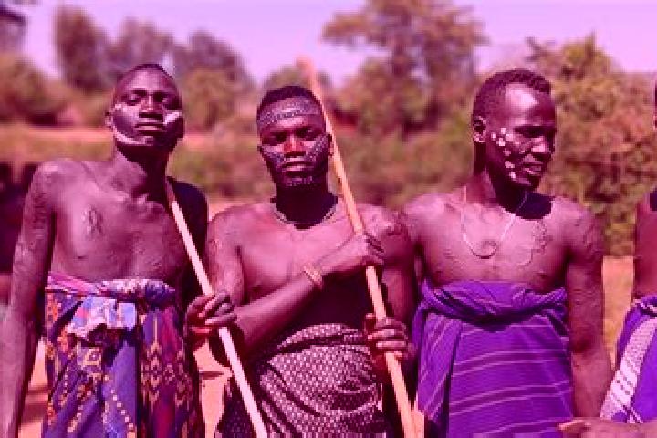 Escorts Adigrat, Ethiopia — Local Companions