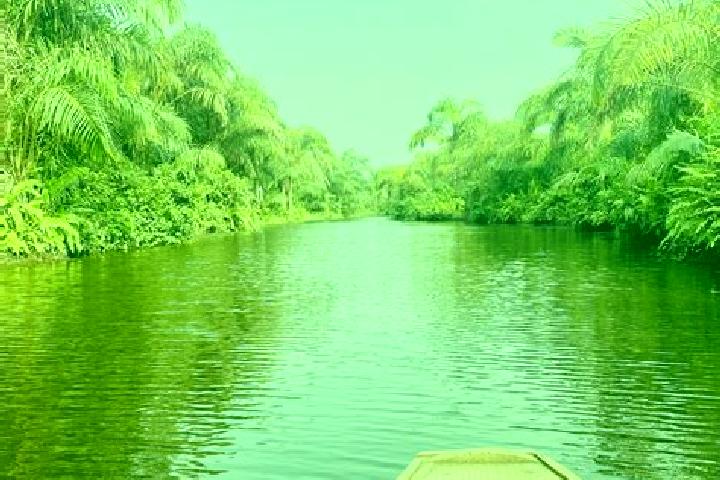Escorts Adjarra, Benin — Local Companions