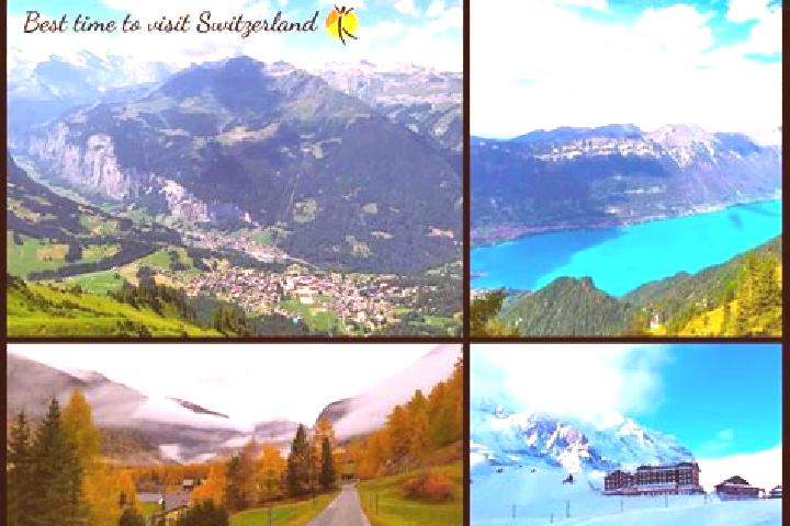 Escorts Adliswil / Sonnenberg, Switzerland — Local Companions