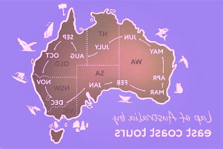 Escorts Advancetown, Australia — Local Companions