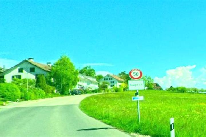 Escorts Aeugst am Albis, Switzerland — Local Companions