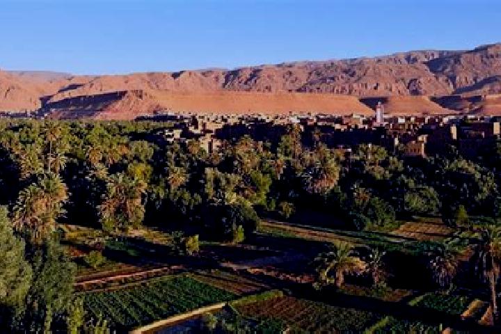 Escorts Aghbalou N Sardane, Morocco — Local Companions