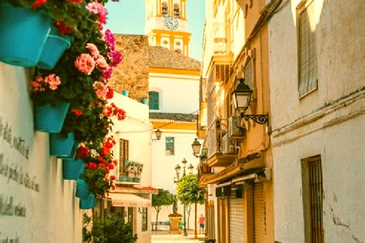 Escorts Agres, Spain — Local Companions