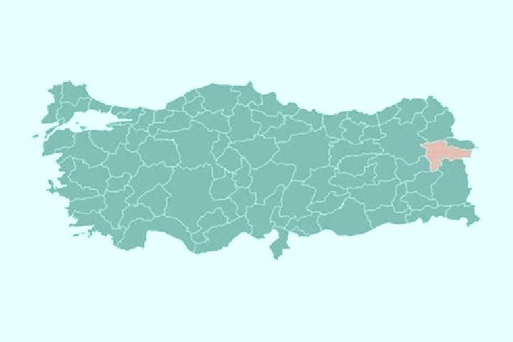 Escorts Agri, Turkey — Local Companions