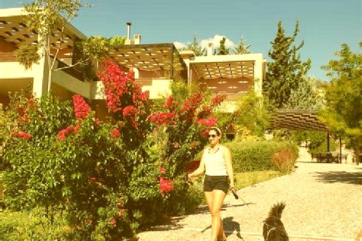 Escorts Aigio, Greece — Local Companions