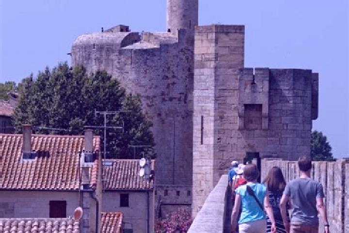 Escorts Aigues-Mortes, France — Local Companions