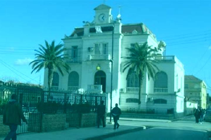 Escorts Ain Bessem, Algeria — Local Companions
