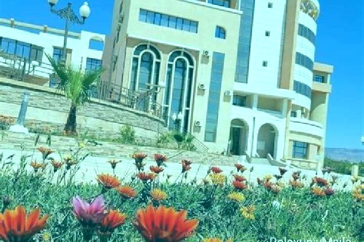 Escorts Ain el Hadjel, Algeria — Local Companions