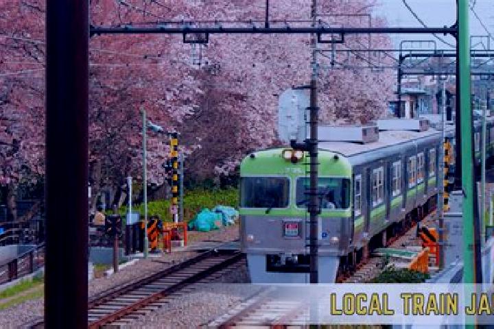 Escorts Aioi, Japan — Local Companions