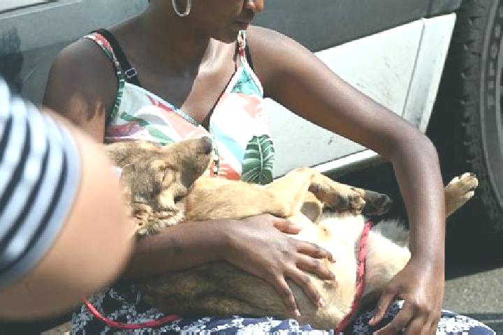 Escorts Ajuda, Guinea-Bissau — Local Companions
