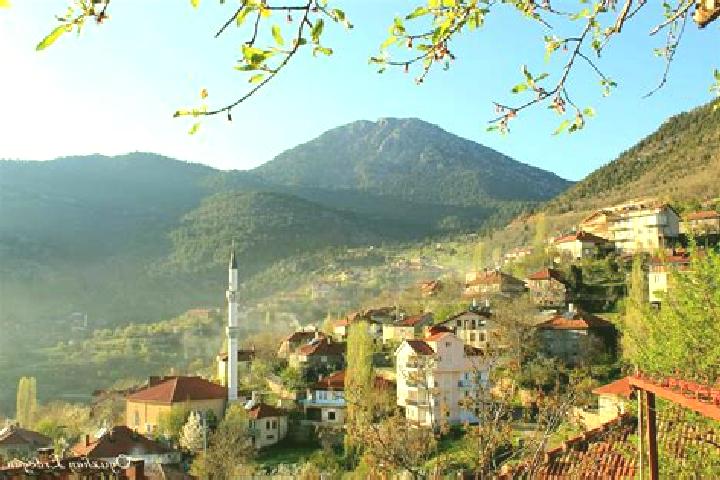 Escorts Akseki, Turkey — Local Companions