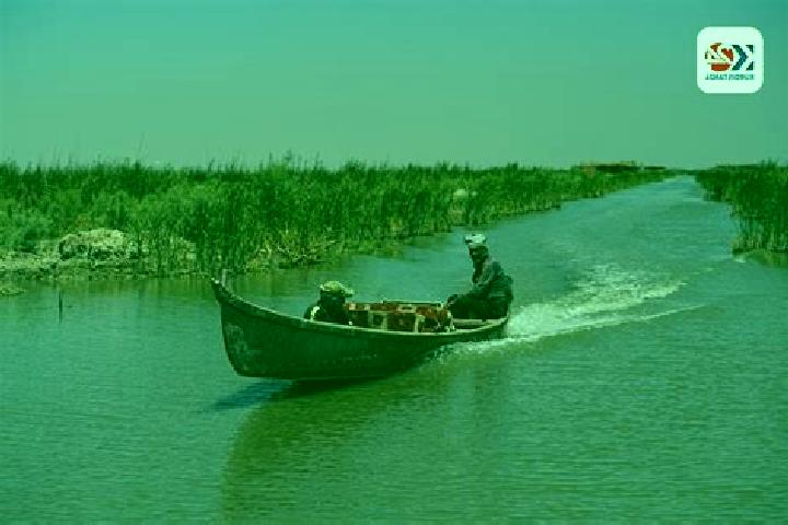 Escorts Al- Alam, Iraq — Local Companions