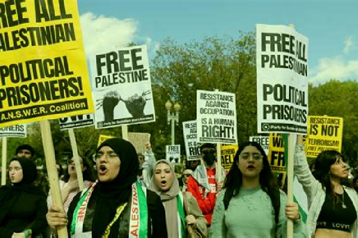 Escorts Al Araqa, Palestine — Local Companions