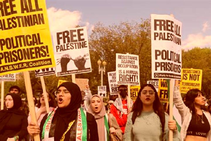 Escorts Al Awja, Palestine — Local Companions