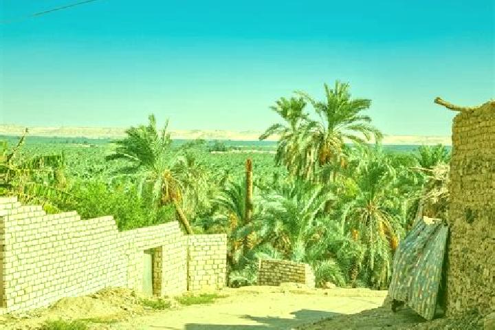 Escorts Al Bawiti, Egypt — Local Companions