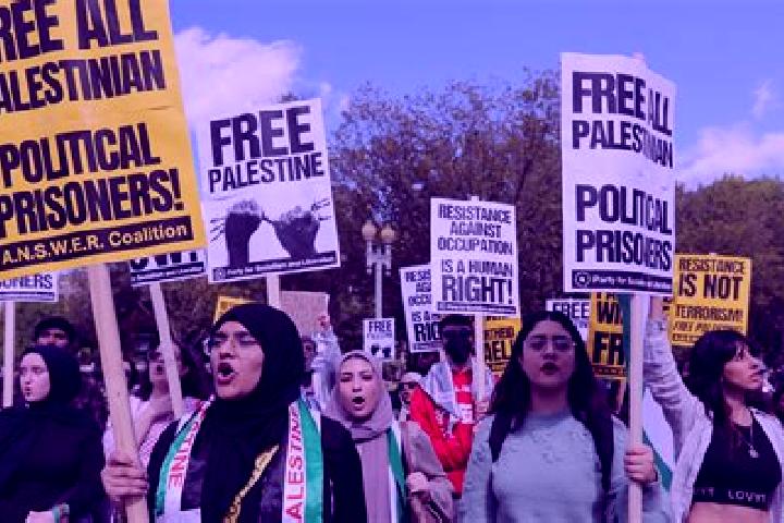 Escorts Al Buq ah, Palestine — Local Companions